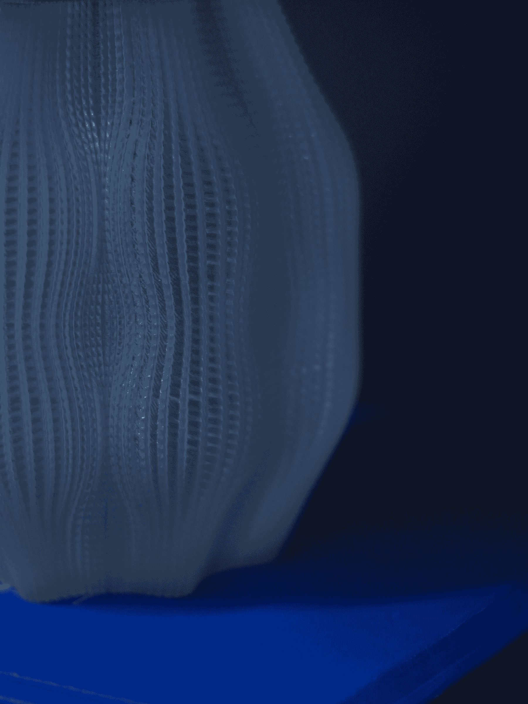 Blob Lamp